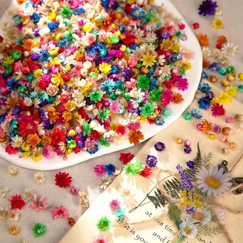 ワックス成形、キャンドル装飾用のカラフルな花、混合樹脂工芸品 - Candle Supplies Bulk のレビューと価格